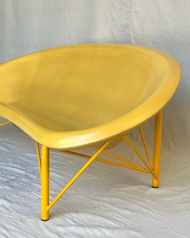 Sungold Yellow
